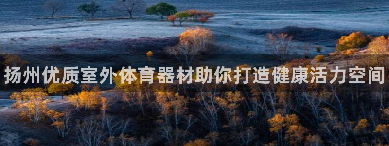 星欧娱乐属于什么档次的公司名称：扬州优质室外体育器材助你打造