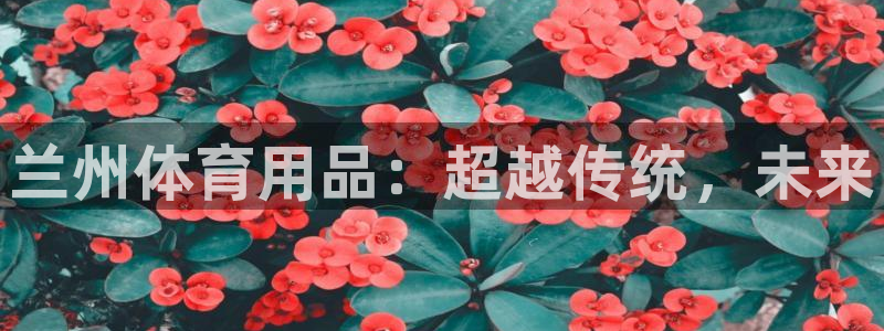 星欧娱乐平台怎么样知乎