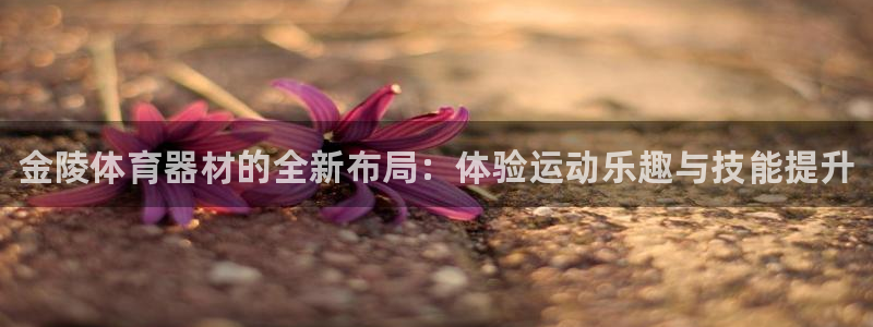 星欧娱乐总代.直开.中国：金陵体育器材的全新布局：体