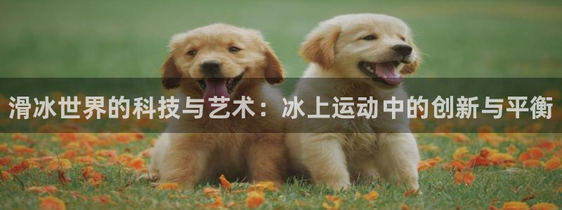 星欧娱乐平台测速线路：滑冰世界的科技与艺术：冰上运动