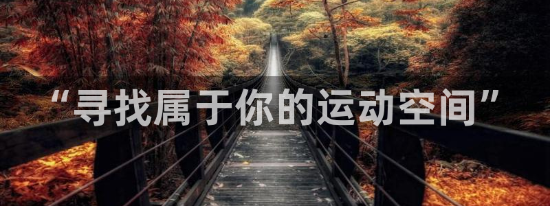 星欧娱乐测速怎么样：“寻找属于你的运动空间”